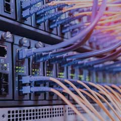 ServicesTint_05_Additional